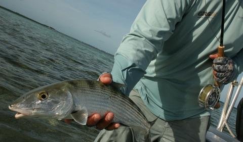 Day Two. 10/26 Turnoff Flats Lodge. "Plan B is for Bonefish"