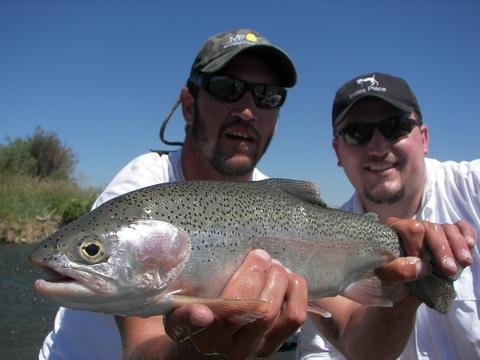 Madison River Fishing Season and Techniques