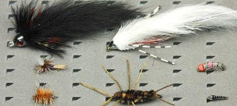 Best Flies for Early Spring Fly Fishing