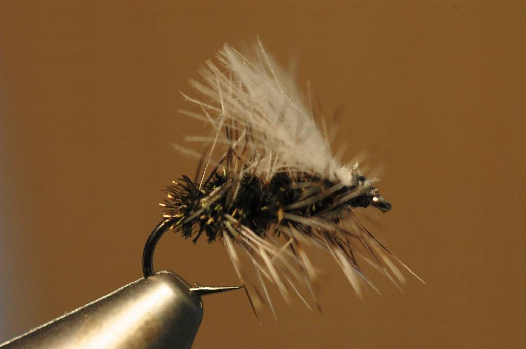 Rene Harrop's CDC Cluster Midge recipe and video