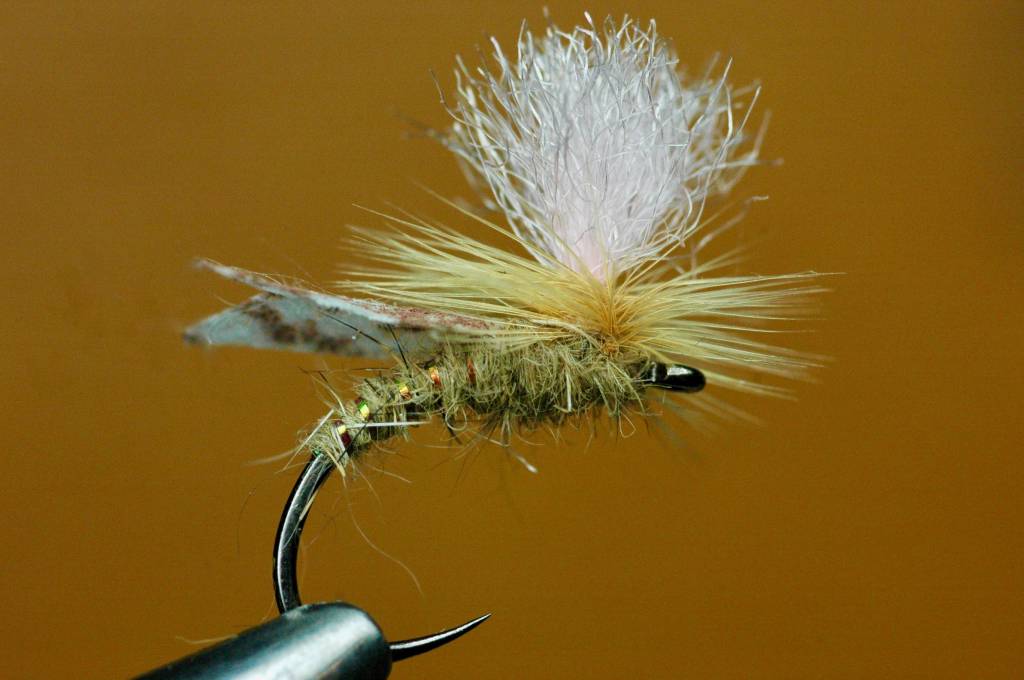 Gallatin River Spruce Moth Recipe...Wednesday Night Fly Tying