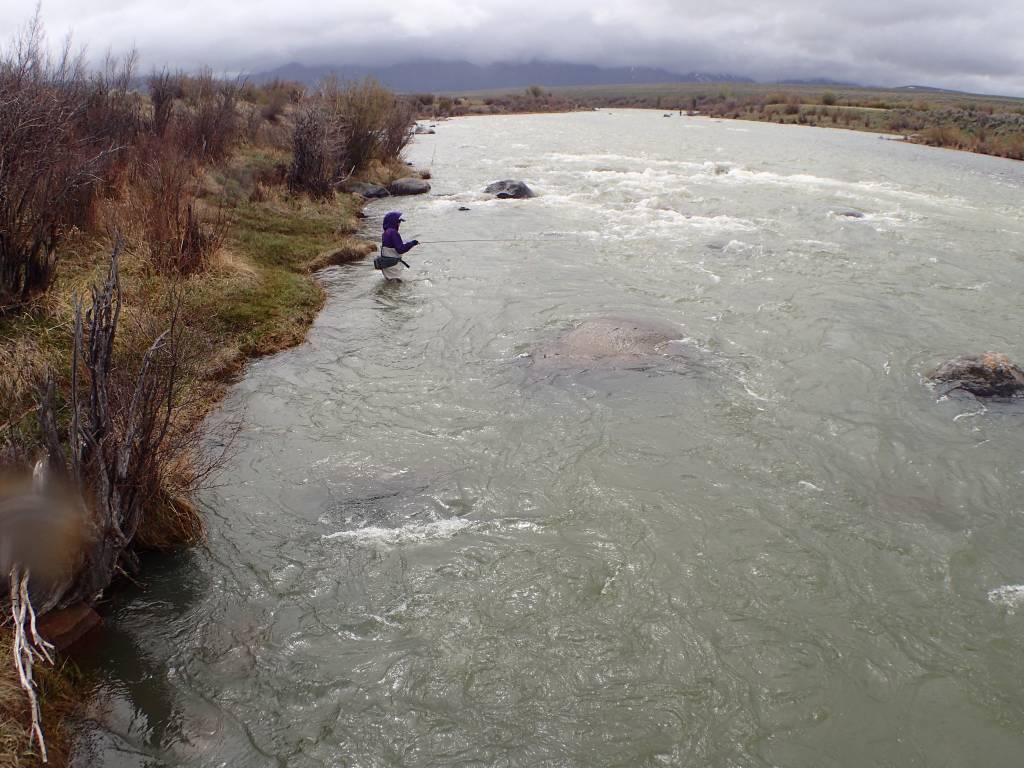 Water Releases from Hebgen Dam to Flush Madison River Sediments