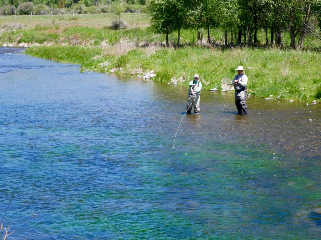Everything You Always Wanted to Know About Fly Fishing