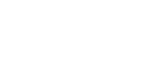 Bicycles International Venice, FL – Premium Bike Sales, Repairs & Rentals