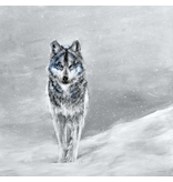 Gray Wolf print