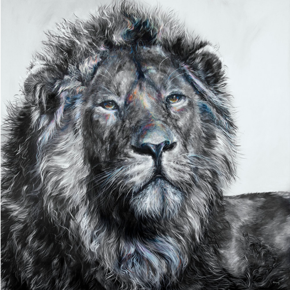 Lion- matted