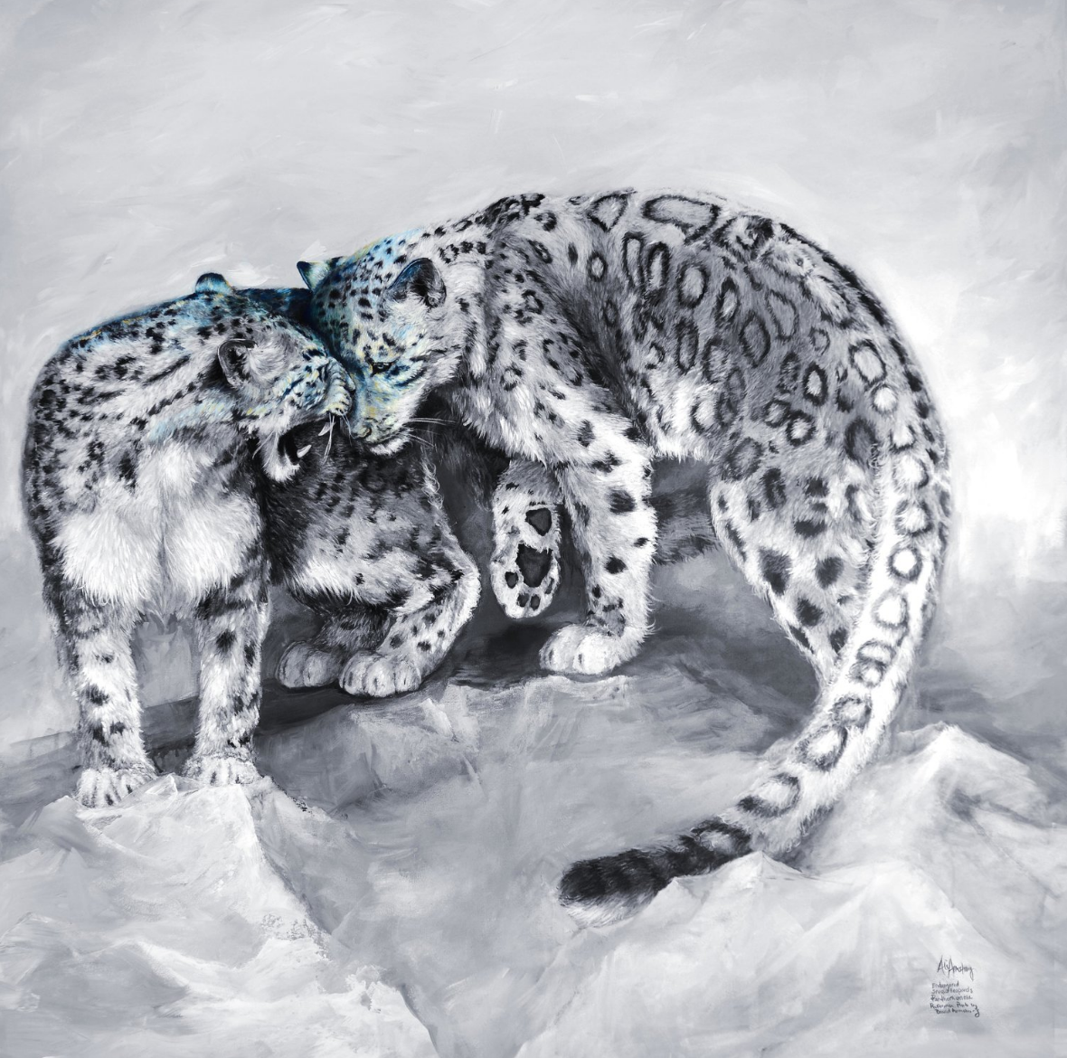 Snowleopards