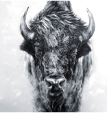 Bison (straight on) matted