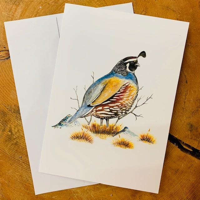 Bird Cards-pack of 5