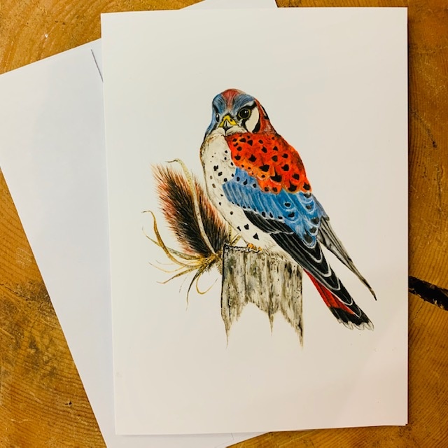 Bird Cards-pack of 5