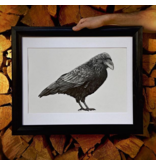 Raven matted print