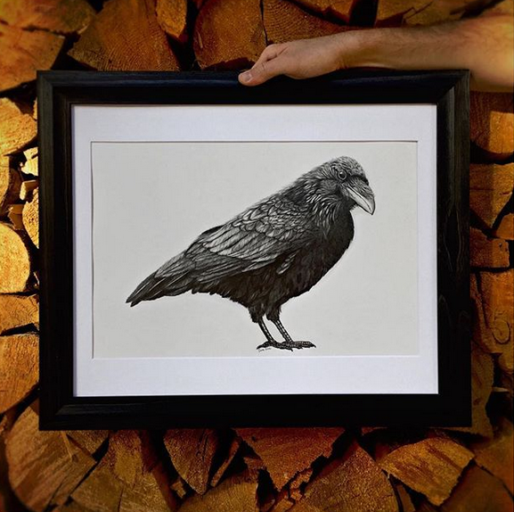 Raven matted print