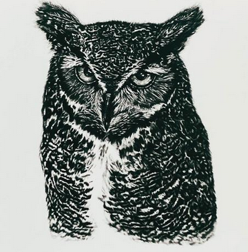 Woodland Wildlife- 6 pack