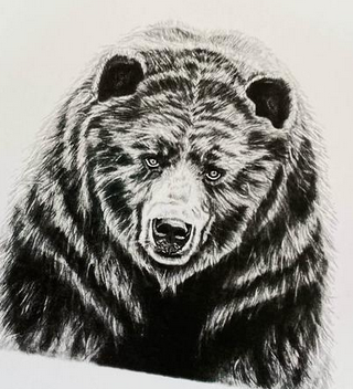 Woodland Wildlife- 6 pack