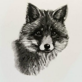 Woodland Wildlife- 6 pack