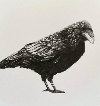 Woodland Wildlife- 6 pack