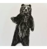 Woodland Wildlife- 6 pack