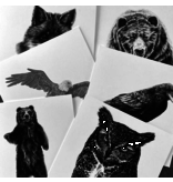 Woodland Wildlife- 6 pack