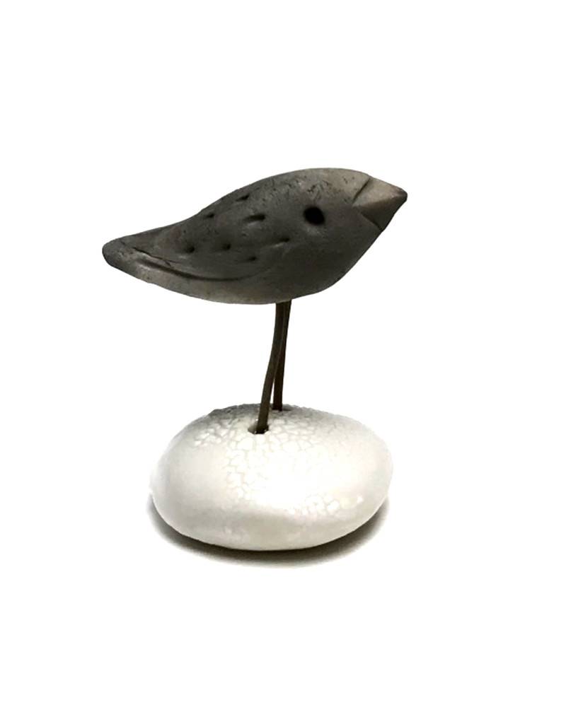 Small assorted Birds