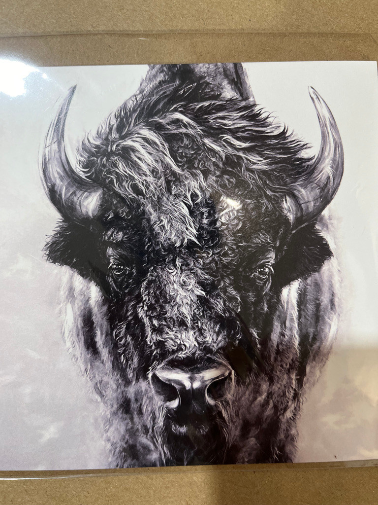 Bison card