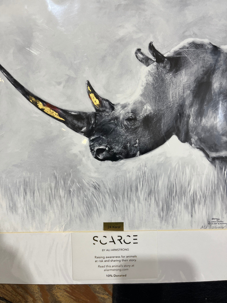 Northern White Rhino- matted print