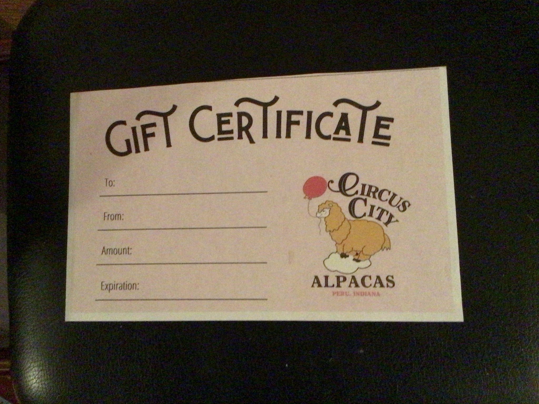 Alpaca Gift Certificate