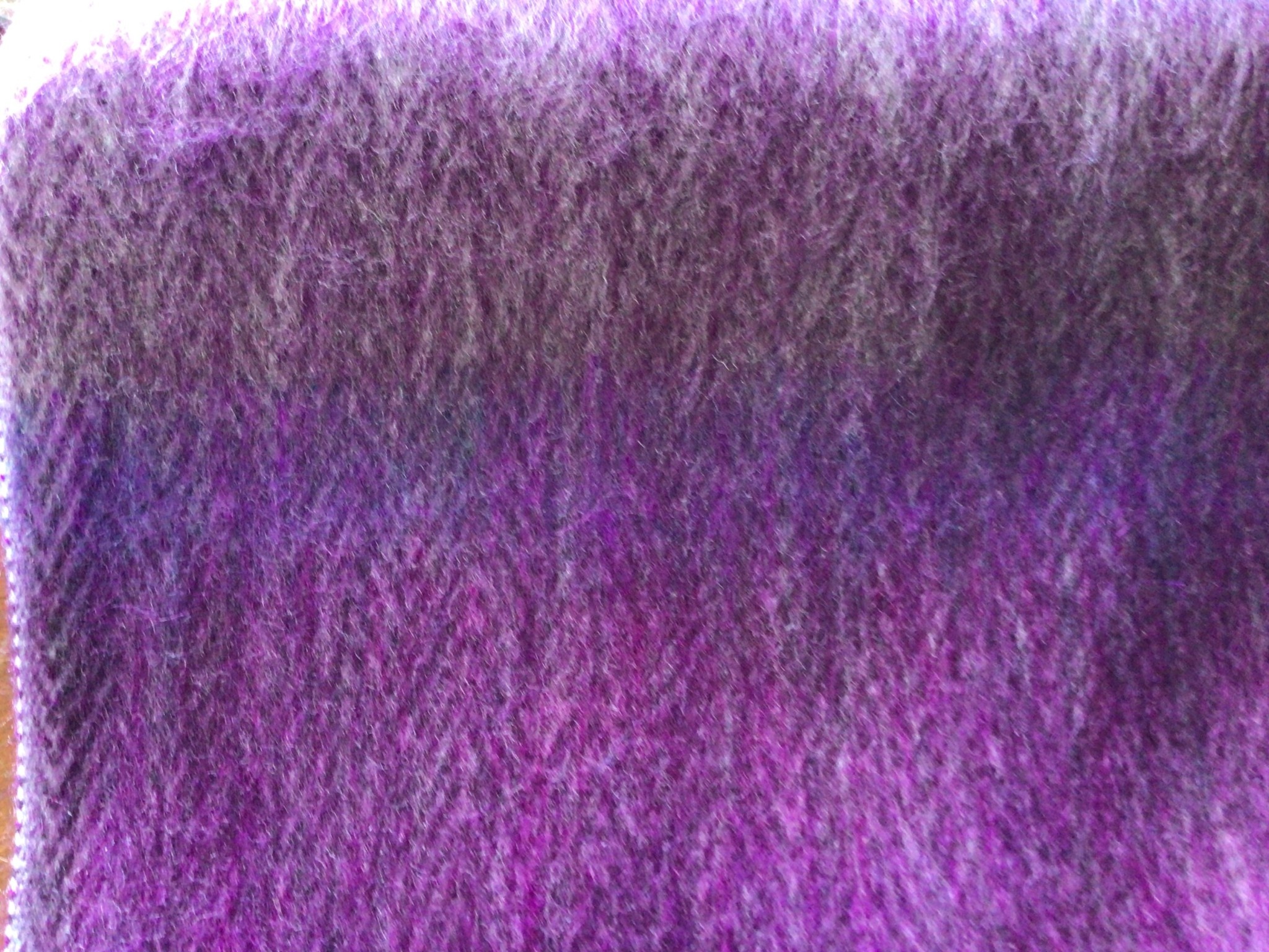 Funky Alpaca Alpaca Scarf, Purple Finch