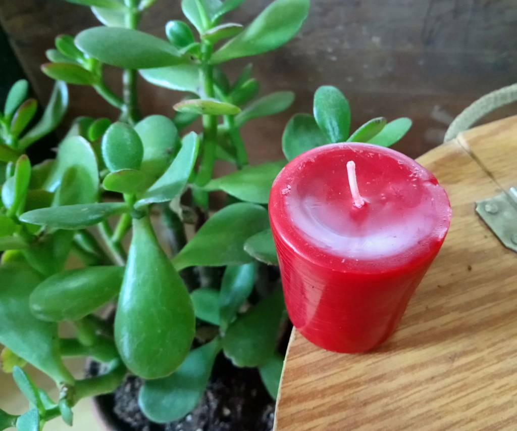 Succulent Rose Votive Candle