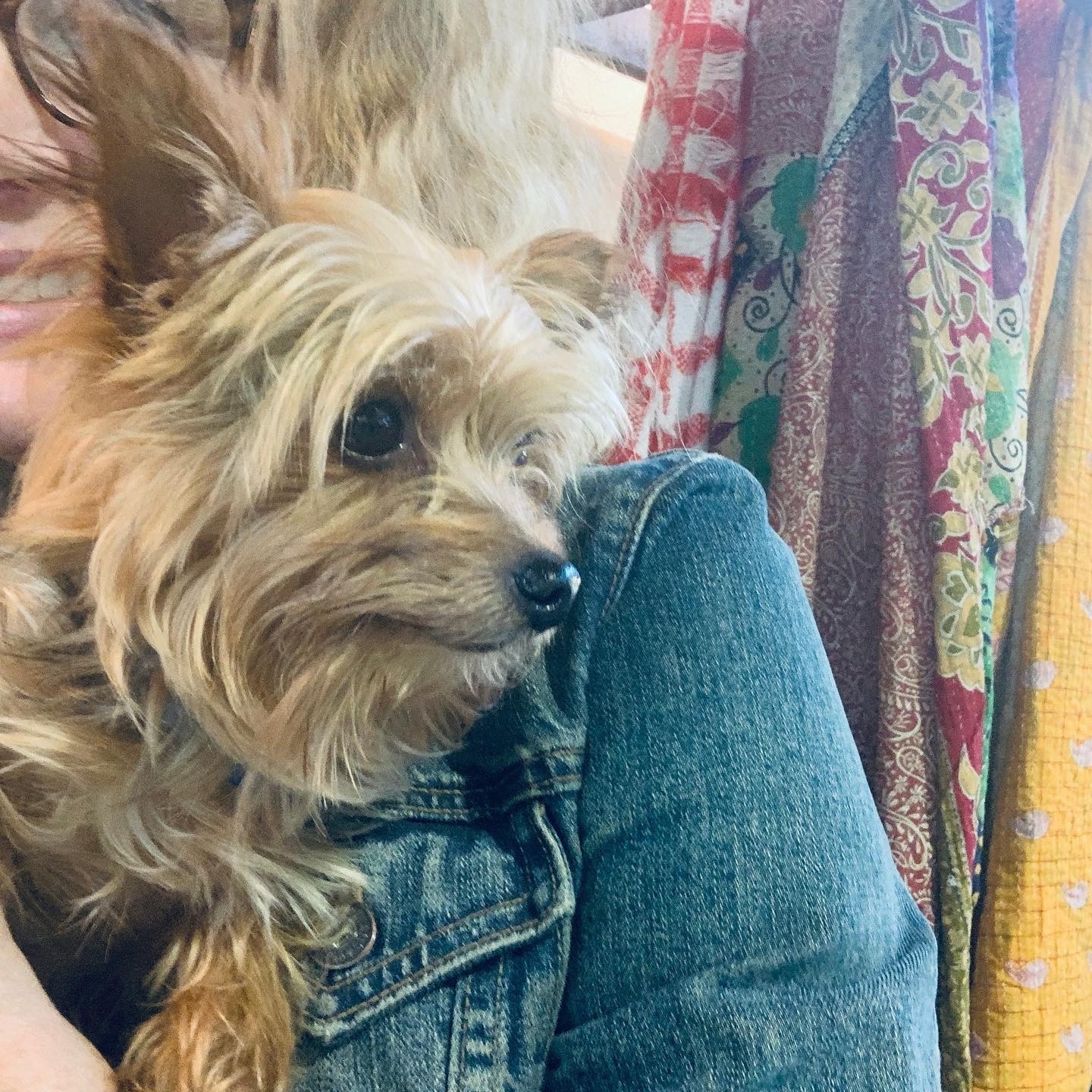 How to be a vendor at Junkstock 