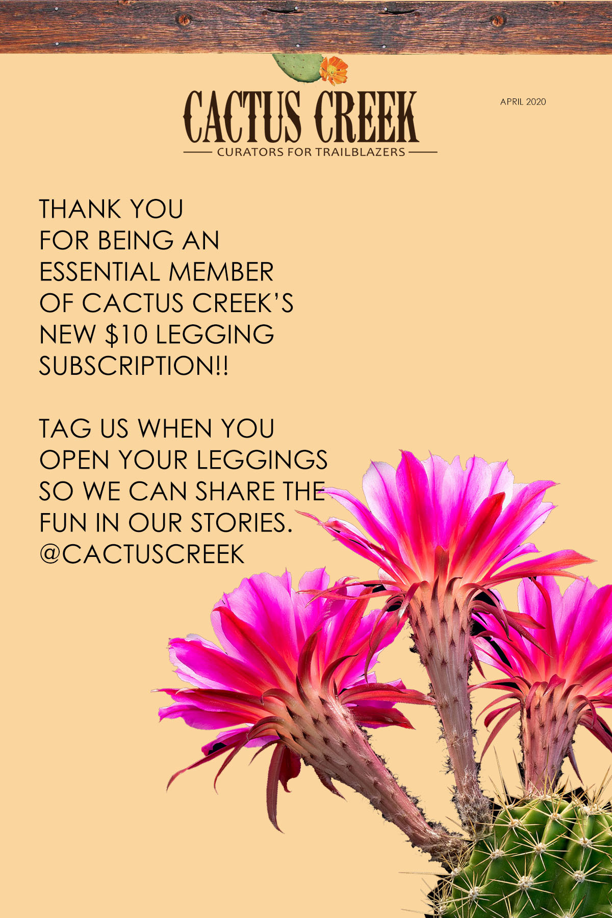 $10 Leggings Subscription Update