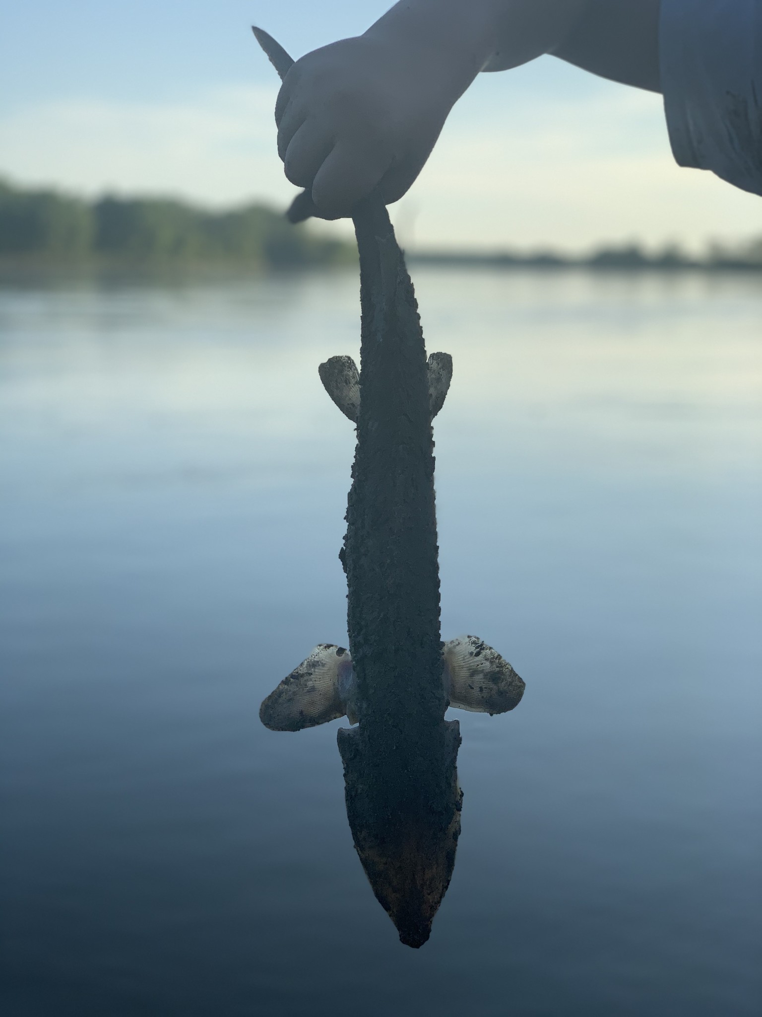 Fishing on the Missouri River