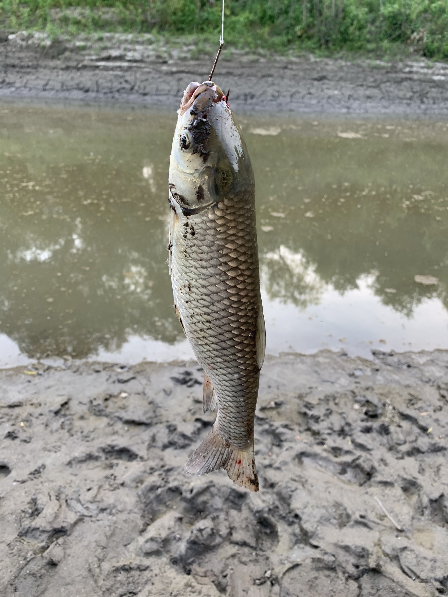 Fishing on the Missouri River