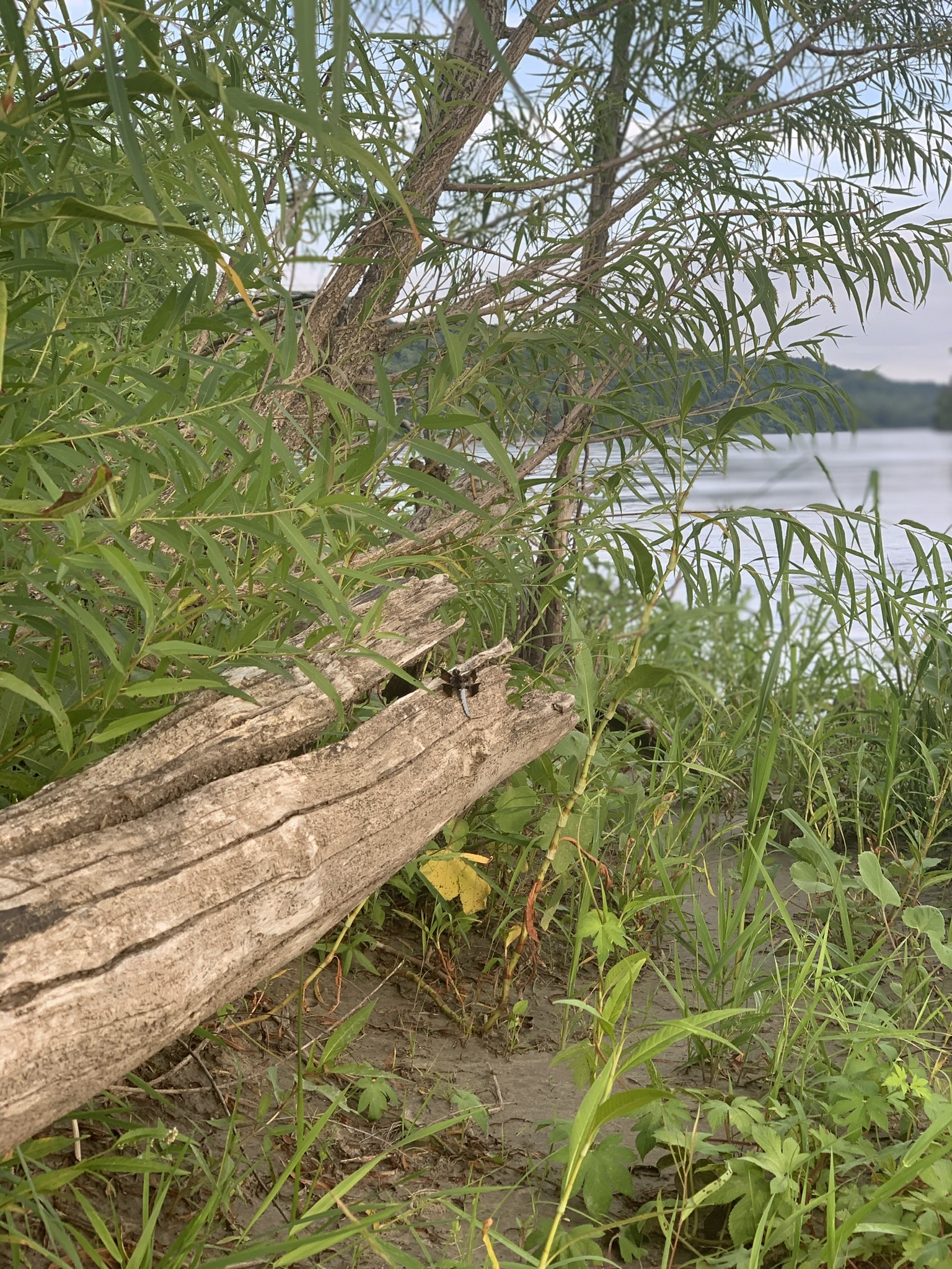 Fishing on the Missouri River