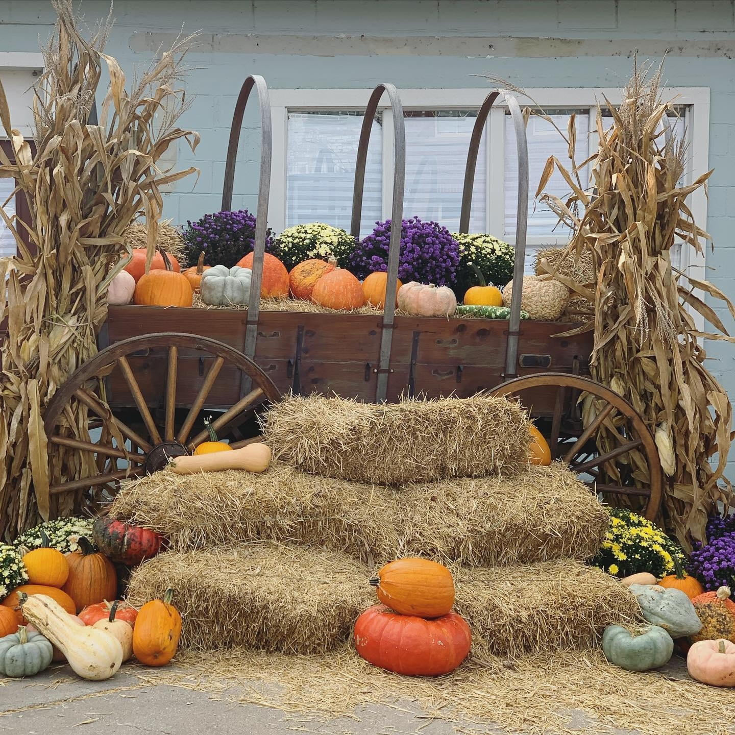 Fall Photo Ops in Weston Missouri