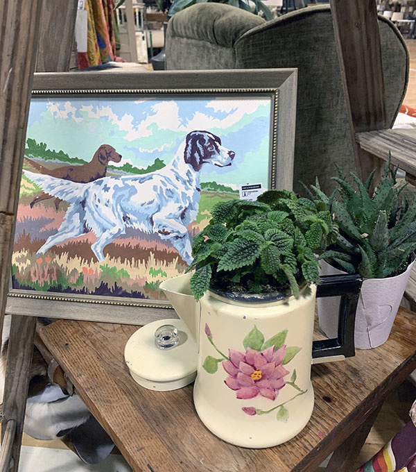 Vintage Market Days Wichita March 11 13, 2022 — Cactus Creek Shop