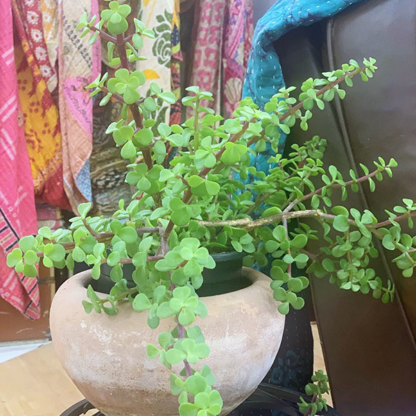 Kansas City Vintage Market Days