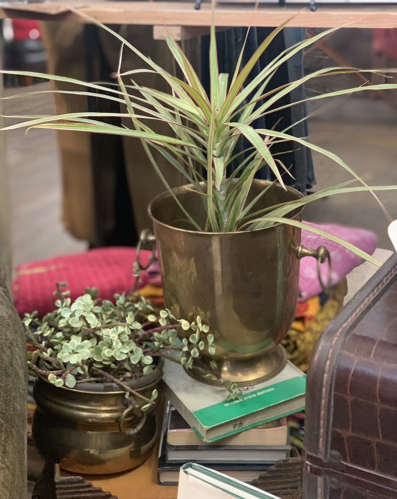 Cactus Creek Vintage Home Decor