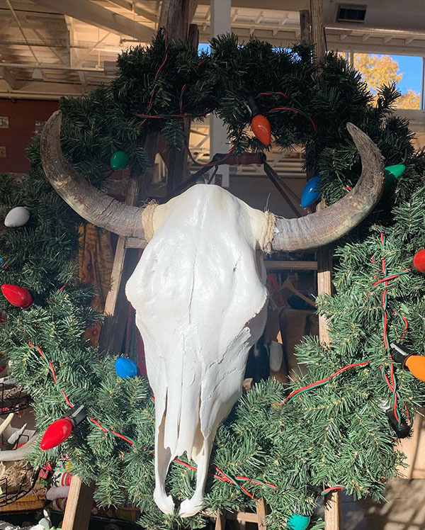 Cactus Creek at Junk Jubilee Des Moines Iowa