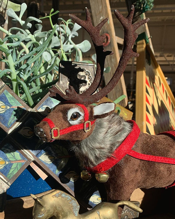 Cactus Creek at Junk Jubilee Des Moines Iowa