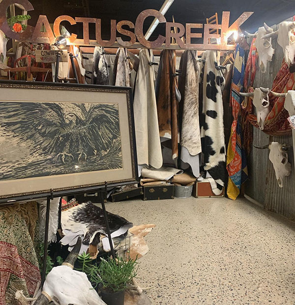 Cactus Creek at Junk Bonanza in Shakopee Minnesota