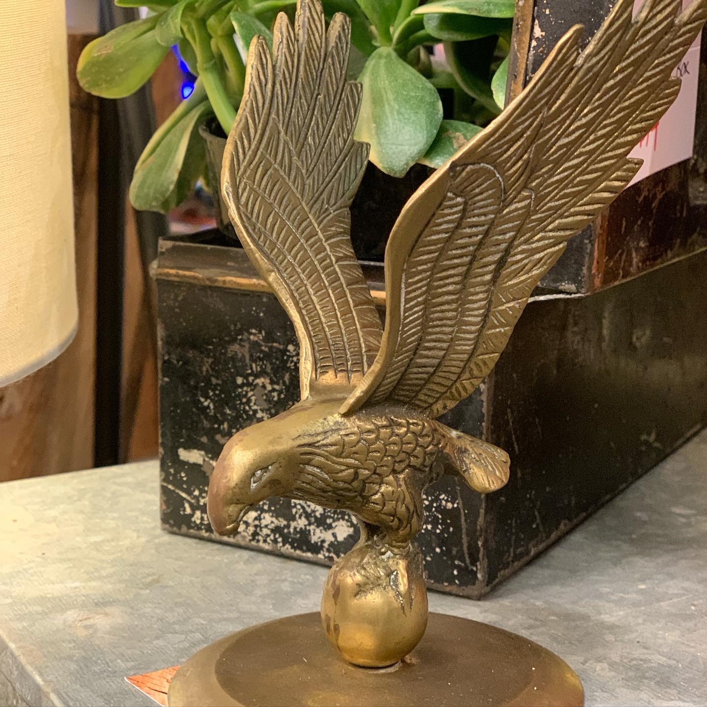 Cactus Creek at Junk Bonanza, Shakopee MN