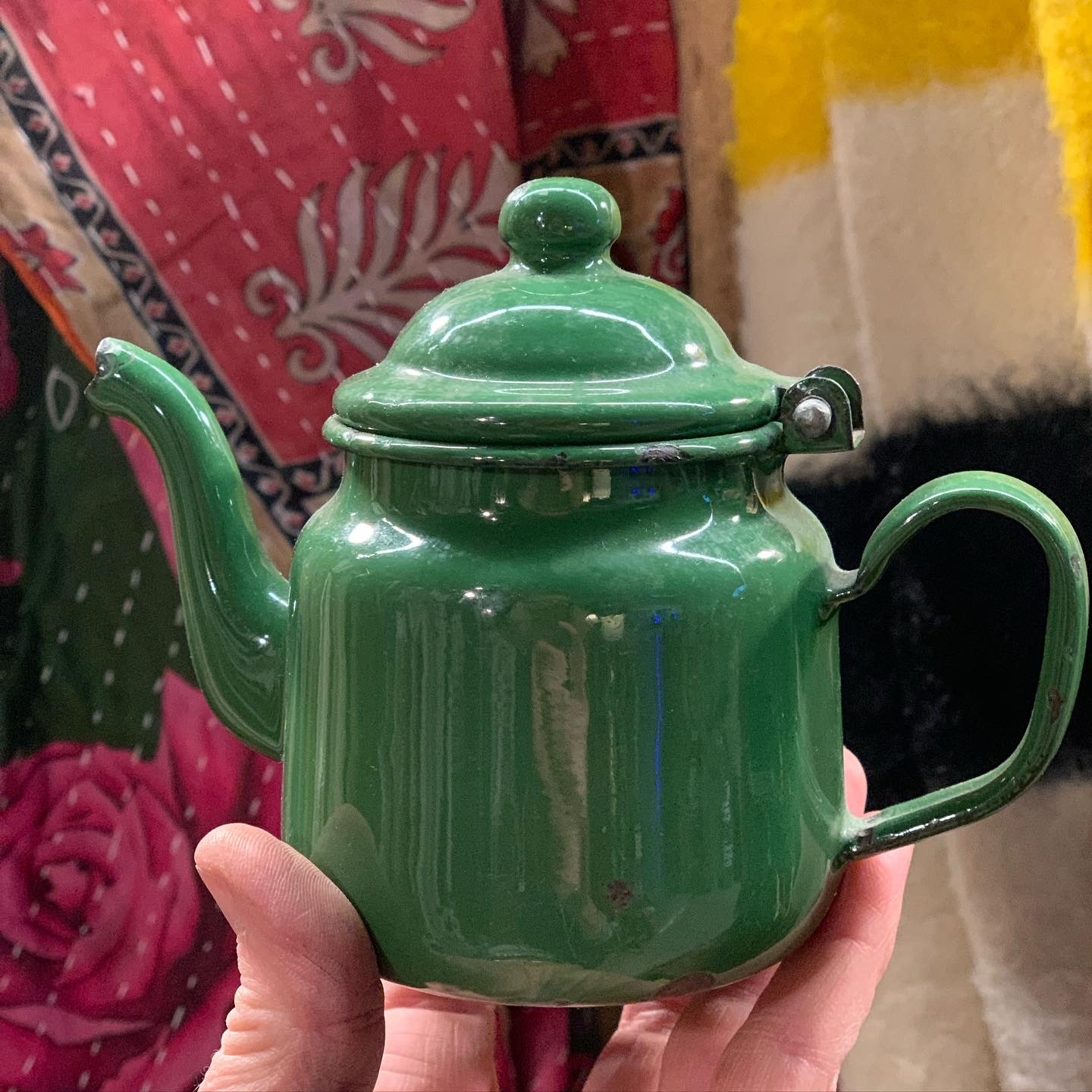 Cactus Creek at Junk Bonanza, Shakopee MN