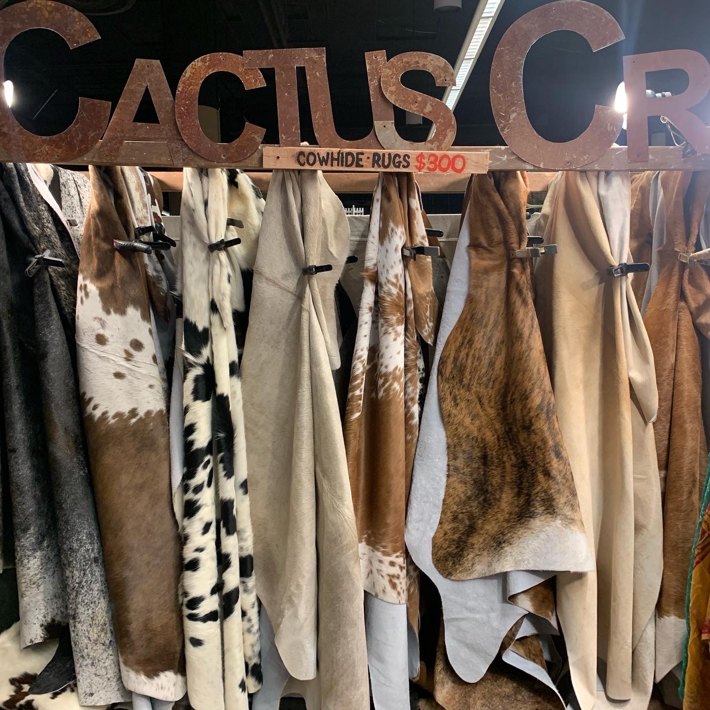 Cactus Creek at Junk Bonanza, Shakopee MN