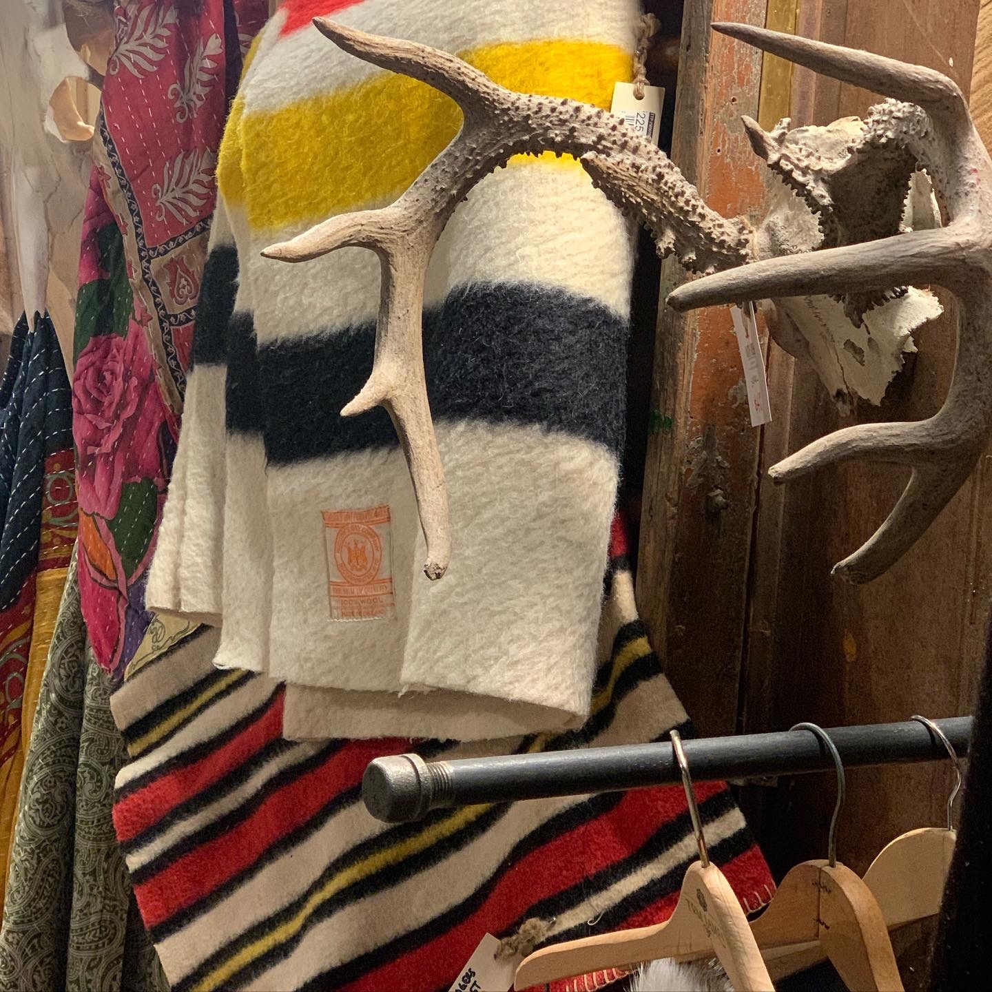 Cactus Creek at Junk Bonanza, Shakopee MN