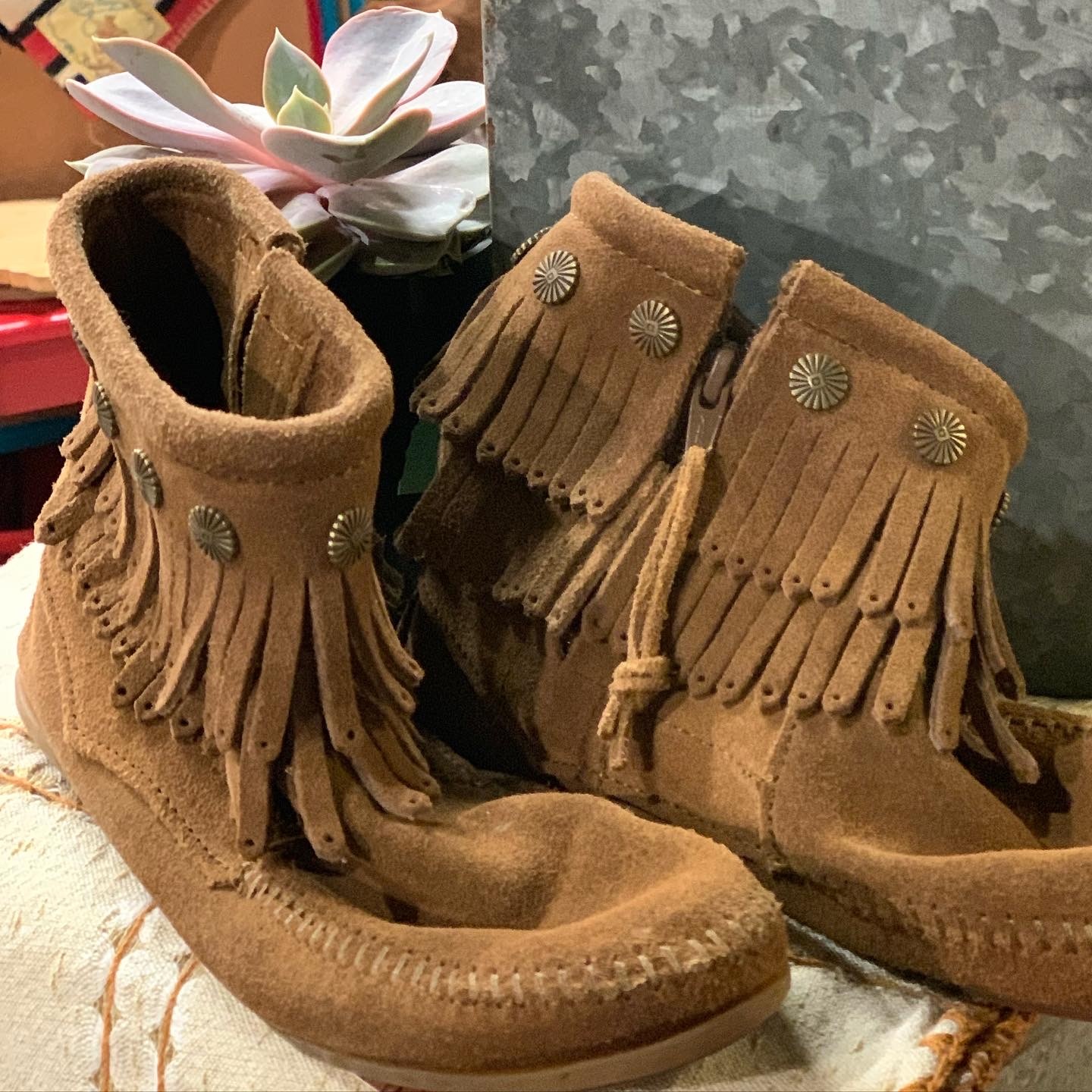 Cactus Creek at Junk Bonanza, Shakopee MN