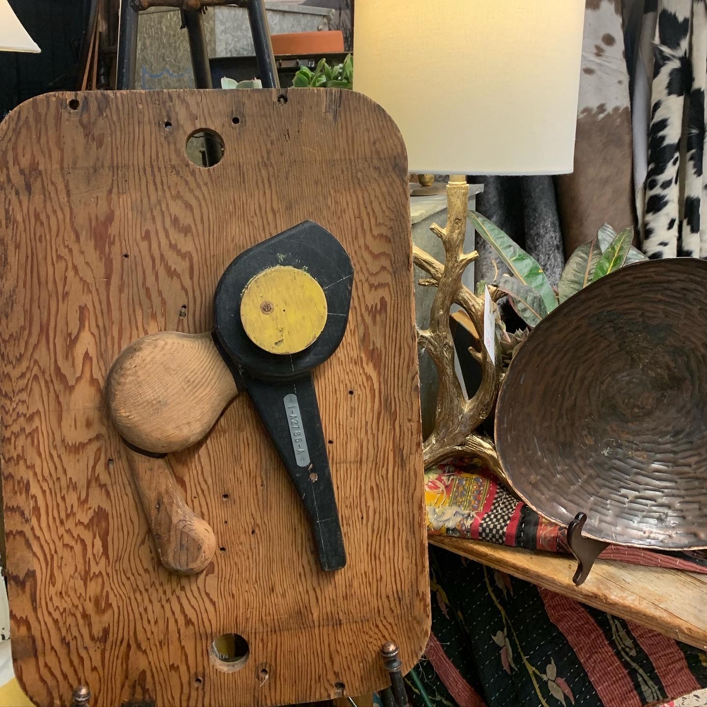 Cactus Creek at Junk Bonanza, Shakopee MN