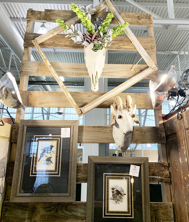 Junk Jubilee - Cactus Creek