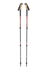 Black Diamond Trail Ergo Cork Trekking Poles