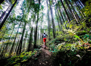 canadian trail running co