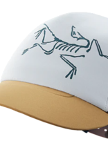 Arcteryx Bird Trucker Hat
